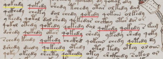 The 15th Century Voynich Manuscript with repeated words highlighted