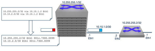 Figure 2 — Relationship between the Routing Information Base (RIB) and the Forwarding Information Base (FIB).