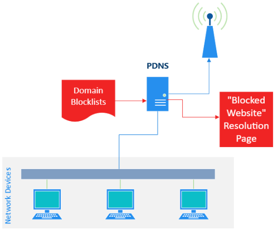 Figure 1 — A diagram showing where PDNS fits into a network.