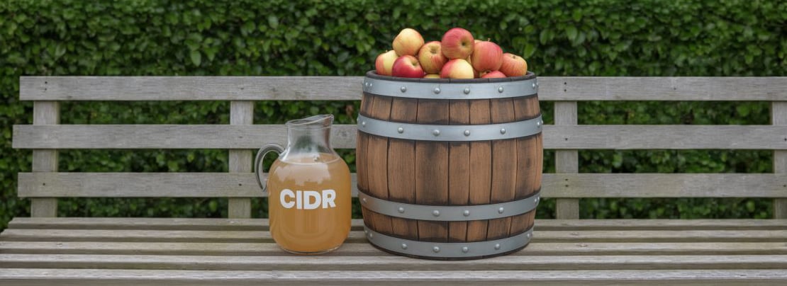 Banner image for [Podcast] CIDR inside article.