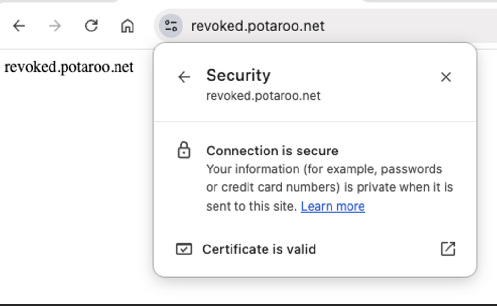 Figure 4 — Chrome does not know the certificate has been revoked. 