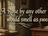 "A rose by any other name would smell as sweet" -William Shakespeare Romeo and Juliet
