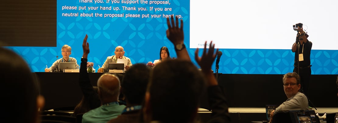Banner image for APNIC 62 Policy SIG reviews seven policy proposals, with two reaching consensus article.