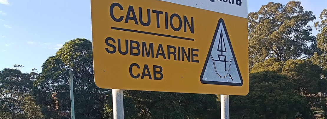 Banner image for Submarine cable resilience article.